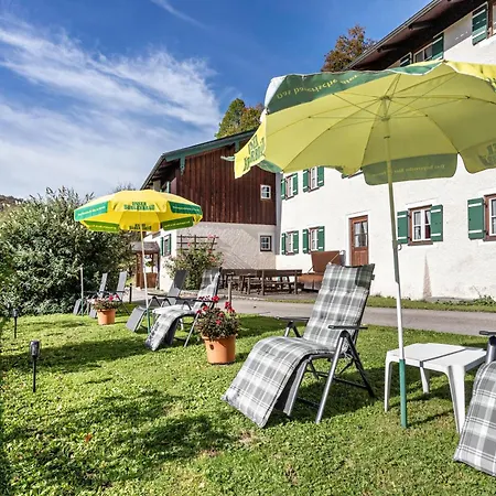 Alpenrose *