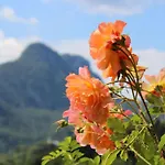 Lägenhet Alpenrose