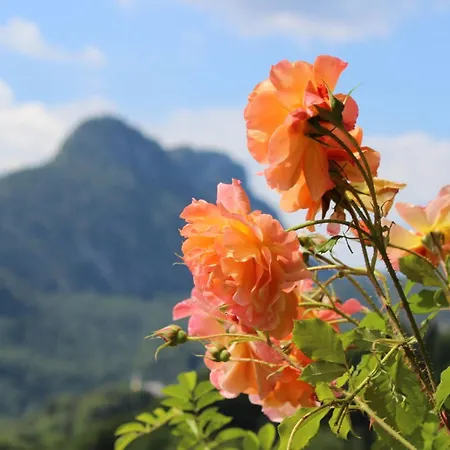 דירה Alpenrose
